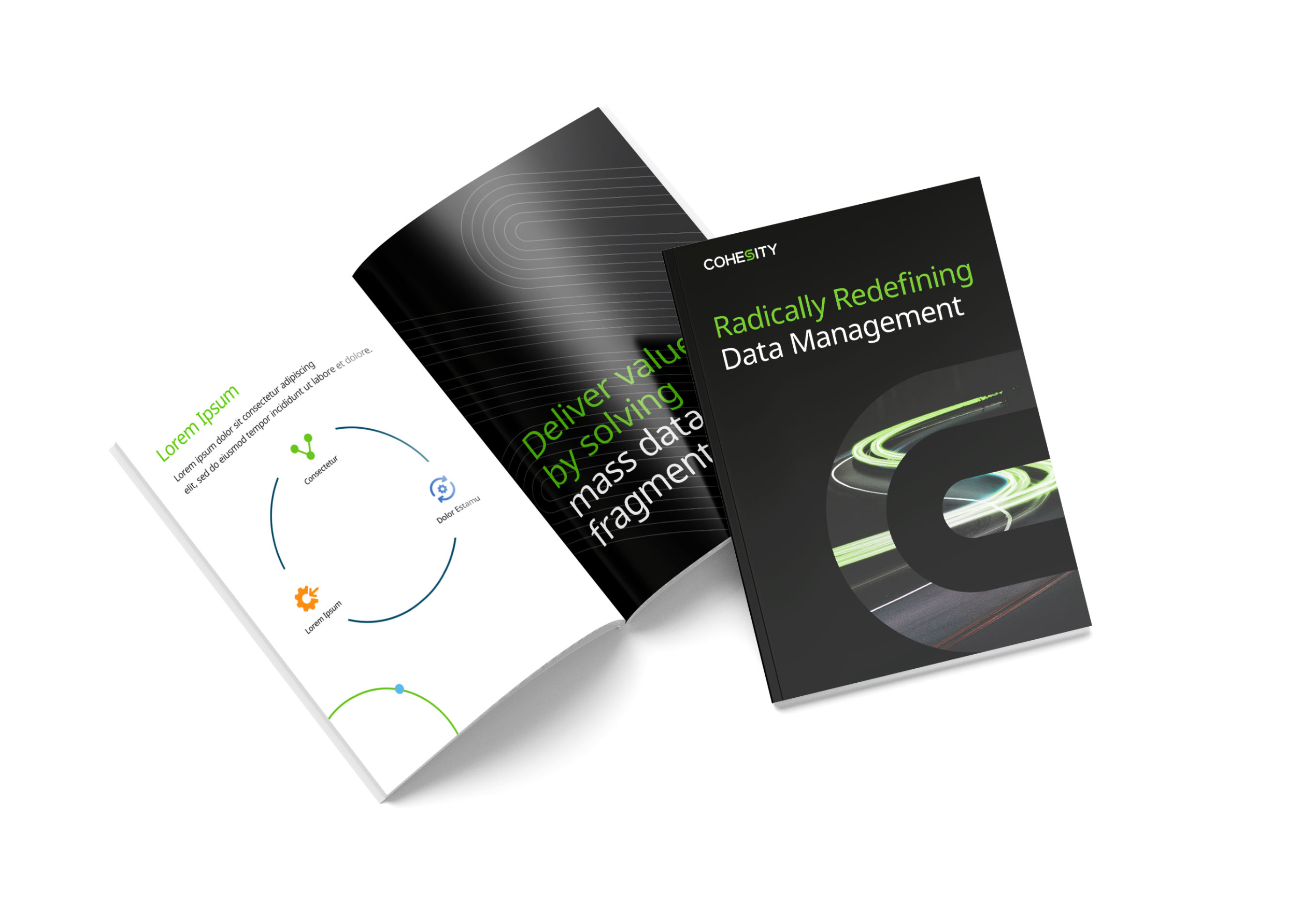 Cohesity book