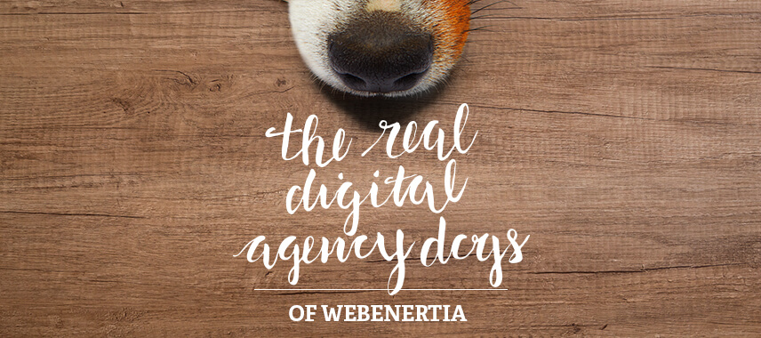 The Real Digital Agency Dogs of Clear Digital